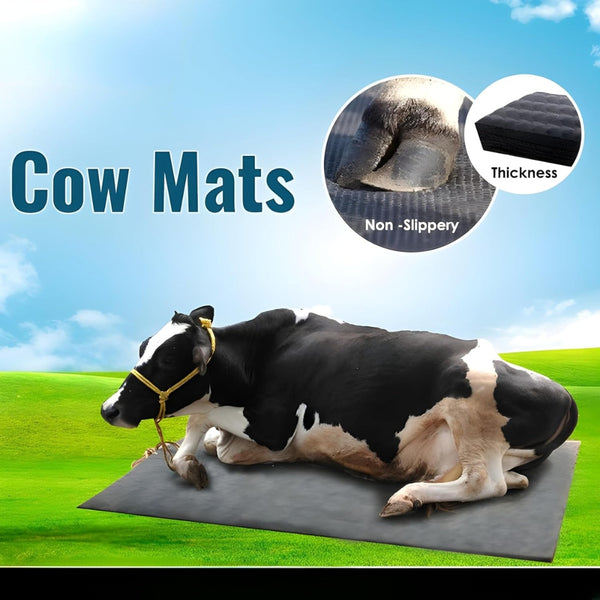 Nandi Comfort Cow Mat Durable and Anti-Slip Flooring for Cattle