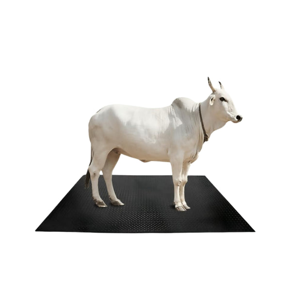 MRF Comfort Cow Mat Durable and Anti-Slip Flooring for Cattle