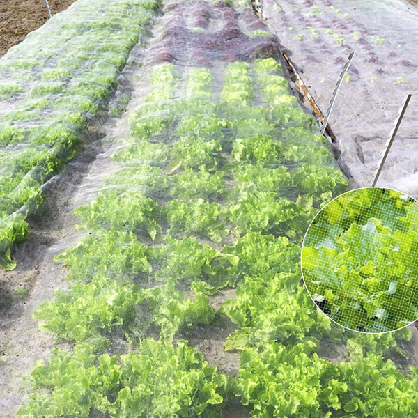 EcoShield Plant Net Durable Protection for Your Crops 5x20 Ft