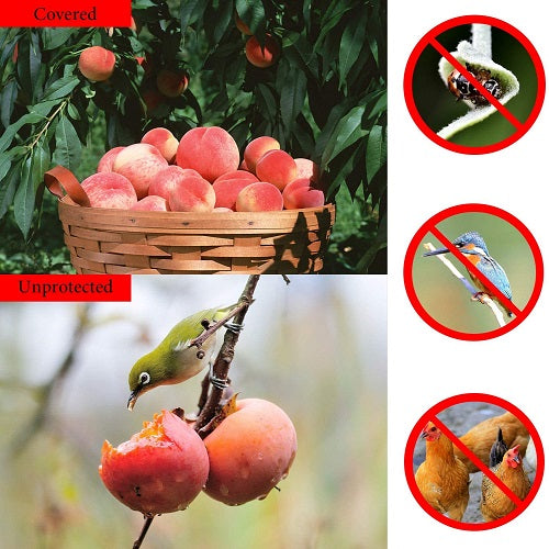 Reusable fruit protector bags that act as a fruit protection cover for trees. Specially made for mangoes, guavas, and more. These fruit protection bags allow air circulation while preventing bugs and pests from ruining crops.